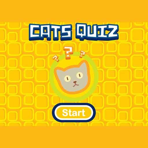 Cats Quiz